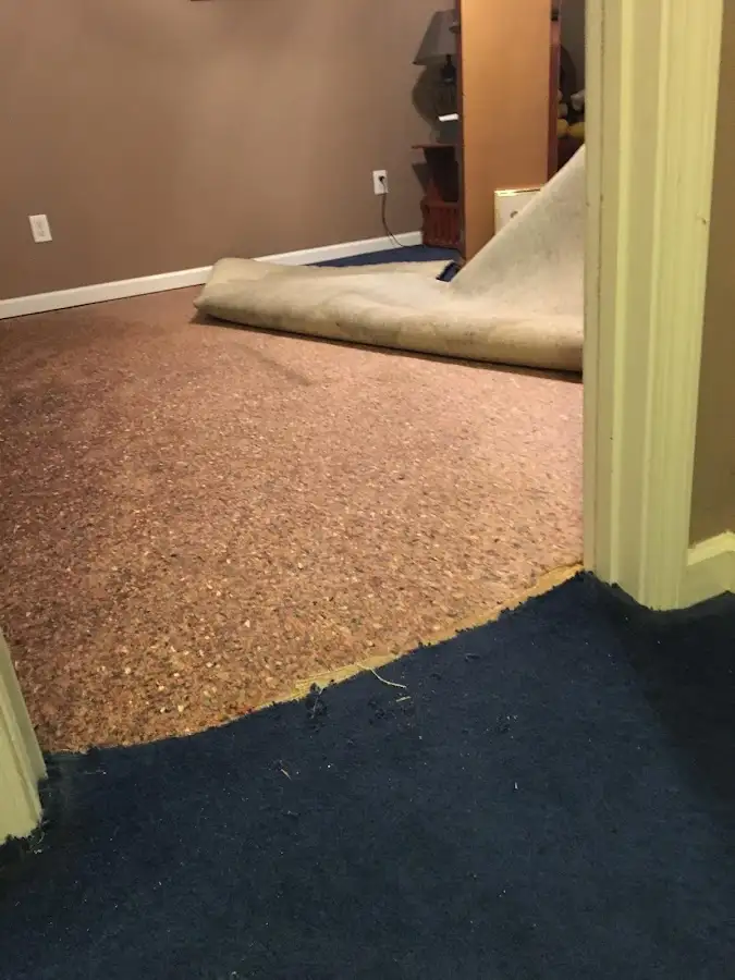 Carpet pad removal revealing water damage during Drying & Dehumidification in Point Pleasant Beach