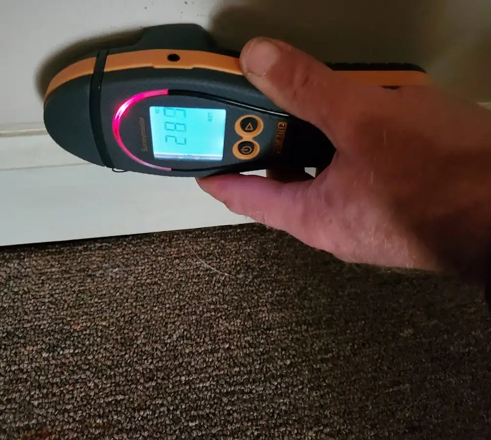 Moisture detection at baseboard during Sewage Cleanup & Sanitation in Point Pleasant Beach